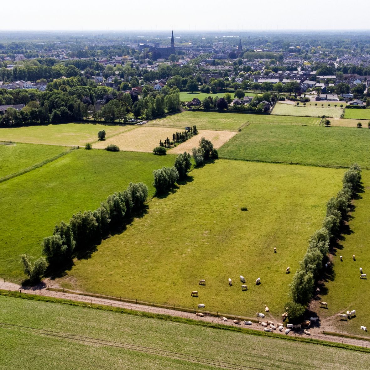 Gewoon groen Haansberg Etten-Leur