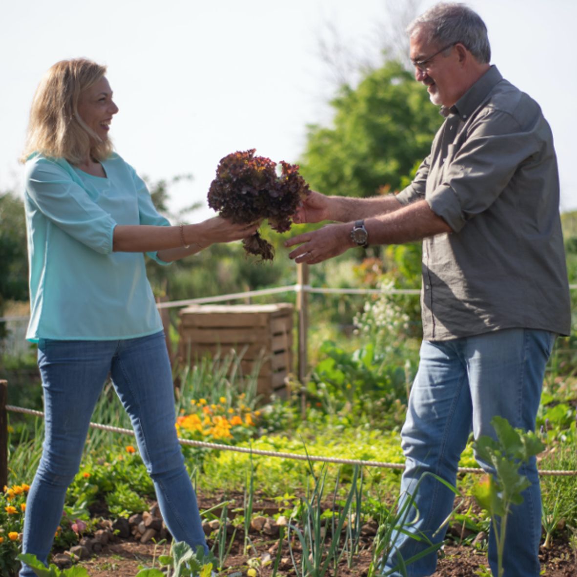 Haansberg gemeente Etten-Leur welzijn voor ons allemaal
